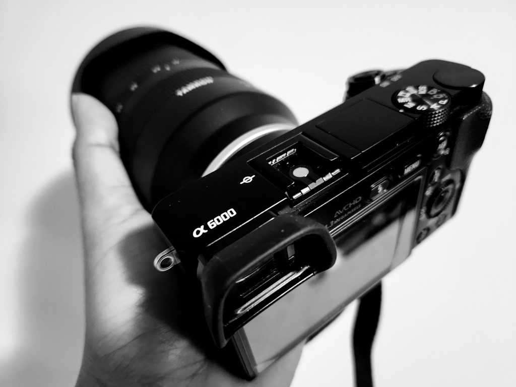 The Sony A6000 – my camera workhorse